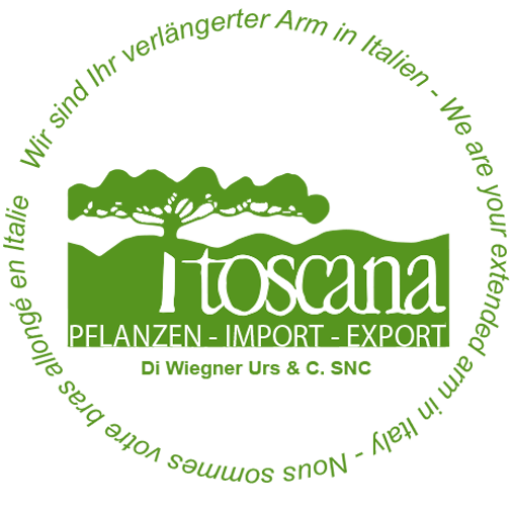 Toscana Pflanzen